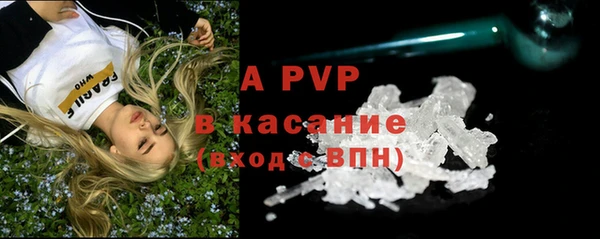 шишки Армянск