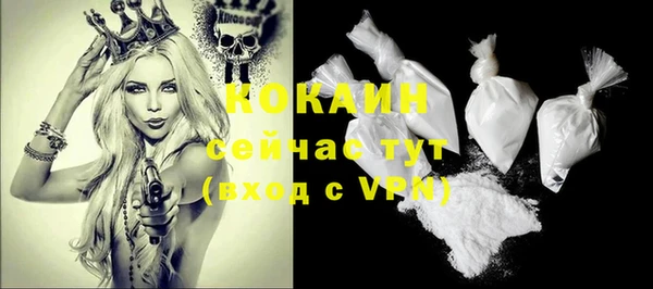 шишки Армянск