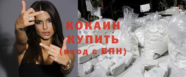 шишки Армянск