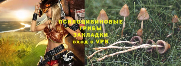 героин Алзамай