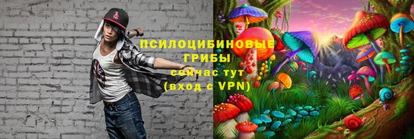 ALPHA PVP Арсеньев