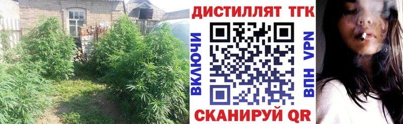 цены наркотик  Ейск  Дистиллят ТГК гашишное масло 